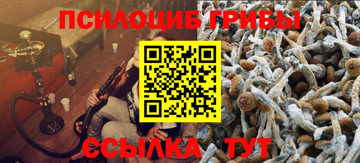 Галлюциногенные грибы Psilocybine cubensis  Псилоцибиновые грибы MAGIC MUSHROOMS  закладка  Ярцево  Вход с VPN 