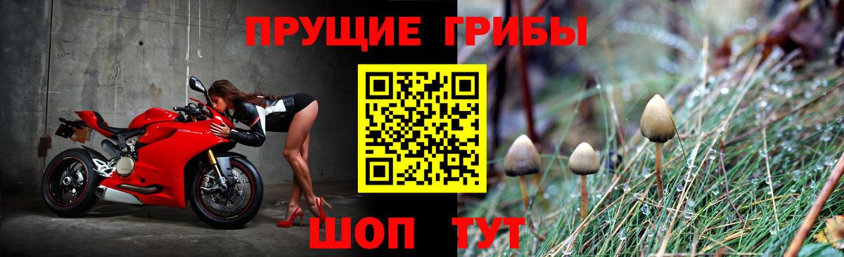 Галлюциногенные грибы GOLDEN TEACHER Ярцево